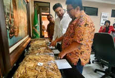 Bidik Pasar Tembakau Jatim, Kadin Tantang Pakistan Transfer Teknologi dan Bibit