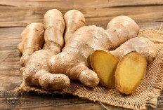 Kenapa Jahe Bikin Tubuh Terasa Hangat? Ini Penjelasan Gingerol dan Shogaol