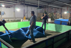 Polsek Candi Bongkar Arena Sabung Ayam di Klurak