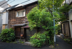 Mengapa Daun Tampak Diam Saat Idulfitri? Ini Penjelasannya Menurut Agama dan Sains