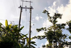 Tiang Listrik di Lahan Pribadi, Warga Magetan Gugat PLN Rp 100 Juta