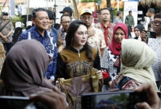 Pelindo Dorong UMKM dan Generasi Muda lewat Portival Nusantara 2025