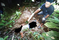 Empat Hari Tak Pulang, Warga Trenggalek Ditemukan Tewas di Jurang