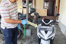 Hendak Jual Motor Curian Sistem COD, Pria di Malang Disergap Polisi