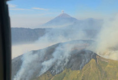 Dua Relawan Korban Karhutla Bromo Jalani Operasi di RSUD Dr Soetomo