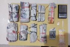Tinggalkan Profesi Kurir Paket, Pria Surabaya Jadi Pengirim Ganja dan Sabu