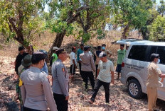 Bakar Rumput untuk Bersihkan Ladang, Wanita Situbondo Ikut  Terpanggang