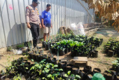 Bhabinkamtibmas Geneng Monitoring Pekarangan Sayuran, Dorong Ketahanan Pangan Keluarga di Ngawi 