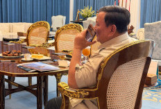 PM Anthony Albanese Telepon Presiden Prabowo Subianto Ucapkan Terima Kasih Indonesia Ekspor Pupuk ke Australia