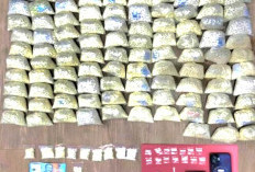 Gerebek Rumah Kos Sukorejo Pasuruan, Polisi Sita 100 Ribu Butir Double L dan Sabu