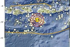Gempa Bumi 2,3 Magnitudo Guncang Sulawesi Tengah Pagi Ini
