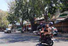 Pulang Sekolah, Siswi SMP di Situbondo Meninggal Ditabrak Microbus di Jalur Pantura