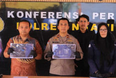 DPO Curanmor Dibekuk, Satreskrim Polres Ngawi Tuntaskan Kasus Pencurian Honda Tiger di Kendal 
