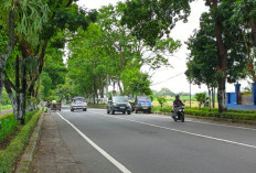 Wacana Proyek Twinroad Sukomoro - Stadion Yosonegoro Magetan Butuh Rp 100 Miliar Lebih