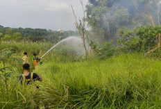 Masuk Kemarau, Damkar Gresik Instruksikan Camat Imbau Desa Waspada Kebakaran Lahan