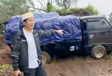 Hujan Deras Picu Longsor di Tosari Pasuruan, Truk Terjun 50 Meter dan Akses Jalan Lumpuh