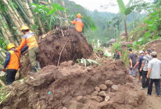 Jalur Alternatif Pasuruan–Probolinggo Lumpuh Akibat Longsor di Lumbang