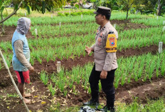 Bhabinkamtibmas Ngrambe Monitoring Pekarangan Sayuran Warga, Perkuat Ketahanan Pangan di Ngawi
