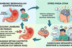 Nyeri Lambung Bisa Ganggu Pikiran