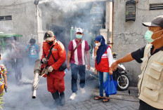8 Warga Positif DBD, Kelurahan Gading Surabaya Gelar Fogging Massal