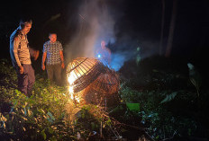 Arena Judi Sabung Ayam Sumberpucung Dimusnahkan Polisi