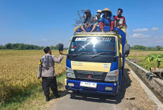 Dampingi Petani, Bhabinkamtibmas Polsek Grogol Kawal Program Asta Cita Tanam Padi