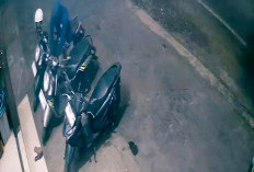 Parkir Depan Butik, Motor Scoopy Digondol Maling