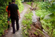 Longsor Terjang Gunung Malang Bawean, BPBD Gresik Soroti Maraknya Penebangan Pohon