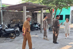 Belum Kantongi PBG, Usaha Pengelolaan Ayam di Ngoro Tak Disegel