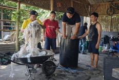 Gayasan Squad Jember Sulap Limbah Plastik Jadi BBM Alternatif