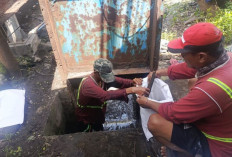 Osowilangun Surut, DSDABM Surabaya Normalisasi Saluran dan Angkut Tumpukan Sampah