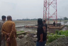 Tower Telekomunikasi Ilegal di Sumobito Disegel Satpol PP, Pembangunan Dihentikan Mendadak