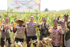Panen Raya Jagung Serentak Kuartal I 2026 di Kota Kediri Tegaskan Dukungan Polri