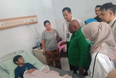 Menteri HAM Soroti Buruknya Manajemen MBG di Surabaya