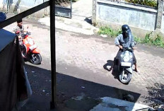 Motor Perangkat Desa Tambakrejo Pasuruan Digondol Maling Terekam CCTV