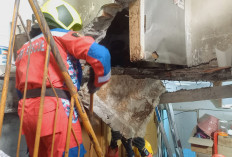 Lantai Dua Rumah di Bubutan Ambruk, Satu Keluarga Terjebak dan Berhasil Dievakuasi Petugas