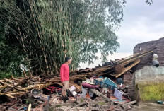 Cuaca Ekstrem Hancurkan Rumah dan Lumpuhkan Akses Jalan Jember 