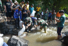 Resik-resik Kali Bedadung dan Tebar Ikan, Kodim 0824/Jember Gandeng Santri hingga Mahasiswa