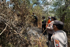 Karhutla Hanguskan 3 Hektare Hutan TNBTS, Polres Lumajang Kerahkan Puluhan Personel