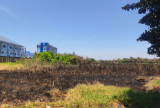 Lahan Kosong Sisi Timur Puri Galaxy Terbakar, Pemicu Api Belum Dipastikan