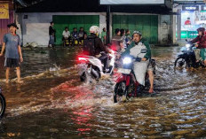 Bupati Jember Tinjau Banjir Mumbulsari, Koordinasi dengan Provinsi untuk Penanganan Cepat