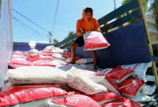 DKPP Kota Madiun Salurkan 78,8 Ton Pupuk Senilai Rp 1,1 Miliar untuk 34 Kelompok Tani