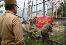 Pemkab Jombang Segel RatusanTower BTS Tak Kantongi Sertifikasi Laik Fungsi 