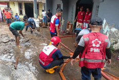 PMI Jember Gerak Cepat: Normalisasi Sumur Warga Pascabanjir, Cegah Penyakit Berbasis Air