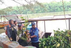 Perluas Program Donasi Oksigen, PT Terminal Petikemas Surabaya Tanam Mangrove di Romokalisari