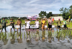 Polri Hadir di Tengah Petani, Percepatan Tanam di Kaliombo Perkuat Ketahanan Pangan