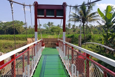 Jembatan Perintis Garuda Lumajang Hampir Rampung, Perkuat Akses Ekonomi Warga