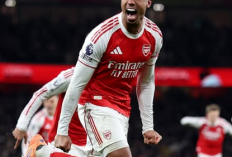 Arsenal Mengamuk, Libas Aston Villa 4-1 di Emirates