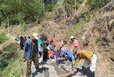 Menembus Medan Ekstrem, GSB Jember dan Warga Mojan Gludug Gotong Royong Pavingisasi Jalan Pesantren