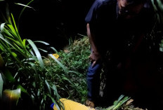 Tak Kunjung Pulang Usai Pupuk Jagung, Petani di Kota Blitar Ditemukan Meninggal Dunia di Tengah Sawah